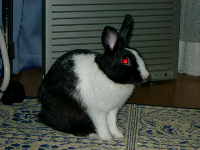 img0002.jpg
