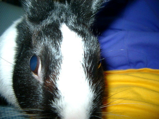 img0003.jpg