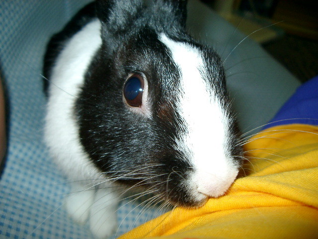 img0004.jpg