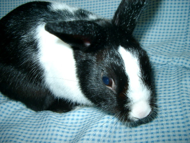 img0007.jpg