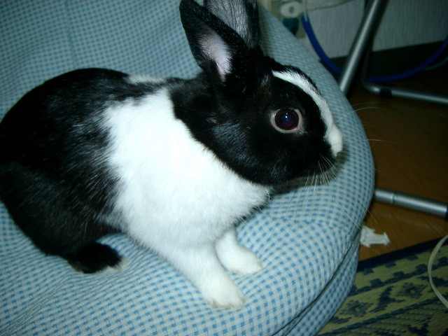 img0008.jpg