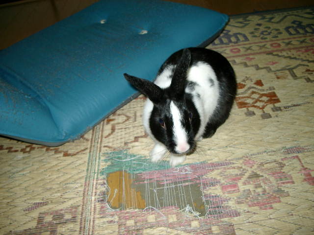 img0014.jpg