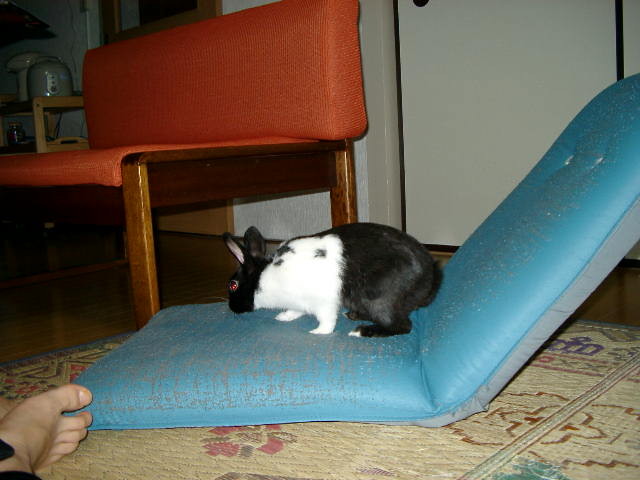 img0015.jpg