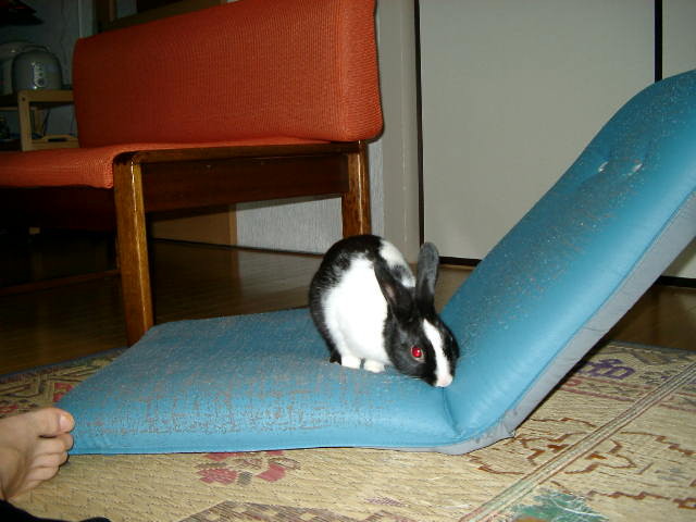 img0016.jpg