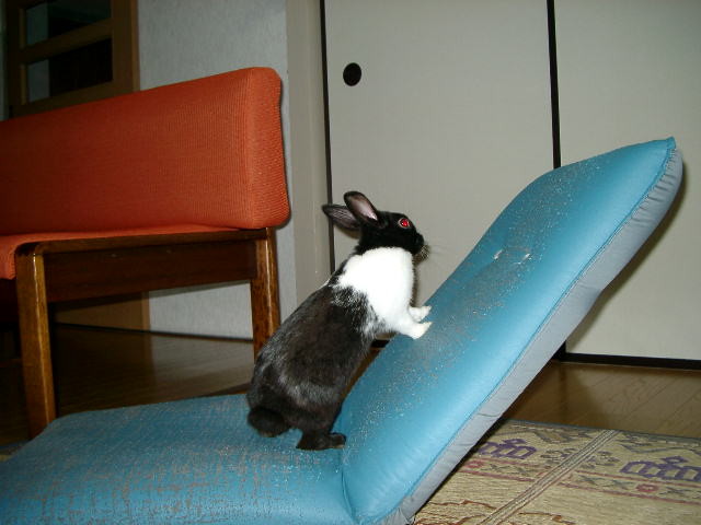 img0017.jpg