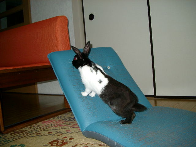 img0018.jpg