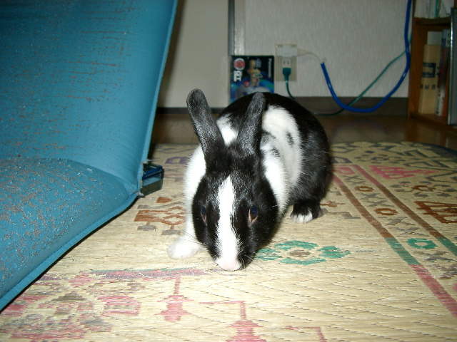 img0019.jpg