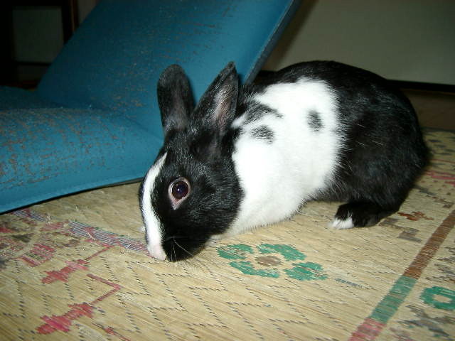 img0020.jpg