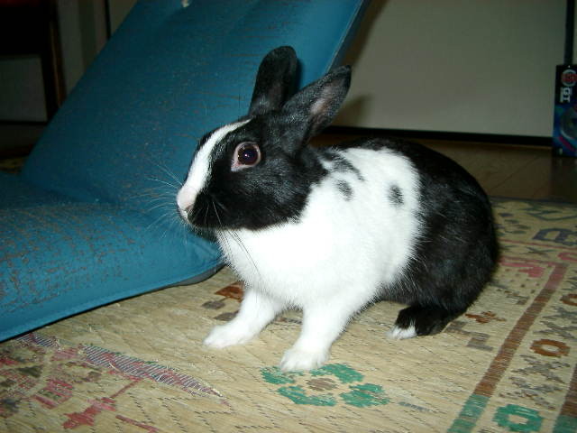 img0021.jpg