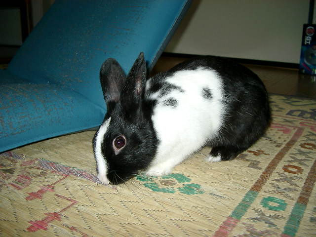 img0022.jpg