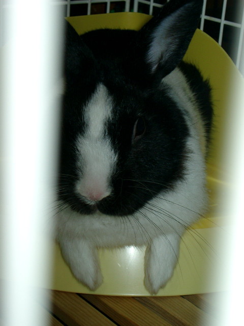 img0000.jpg