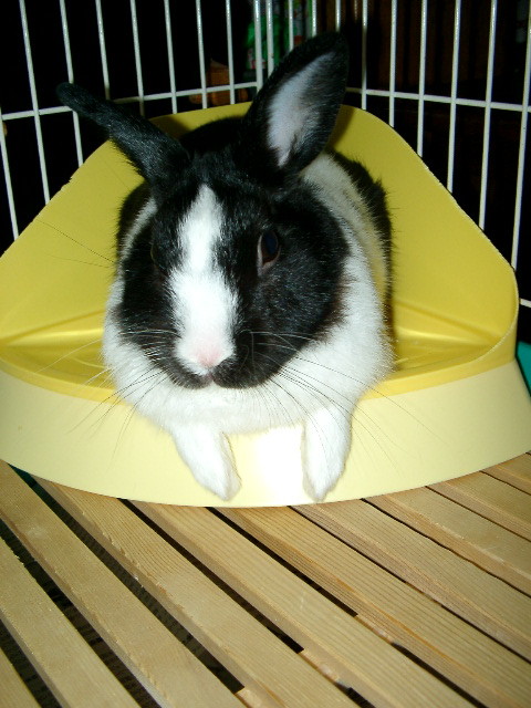 img0002.jpg