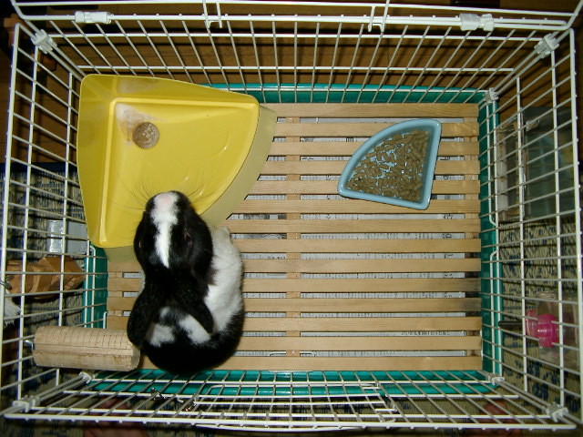 img0003.jpg