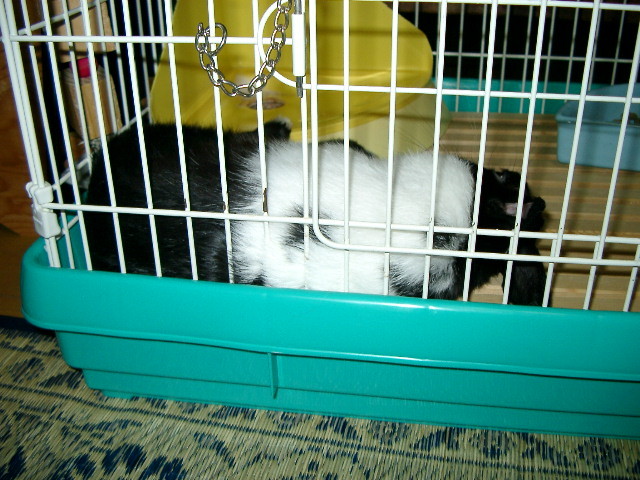 img0005.jpg