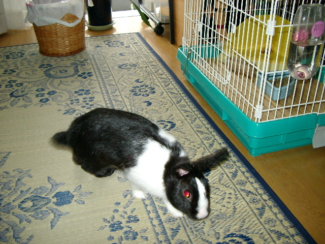 img0007.jpg
