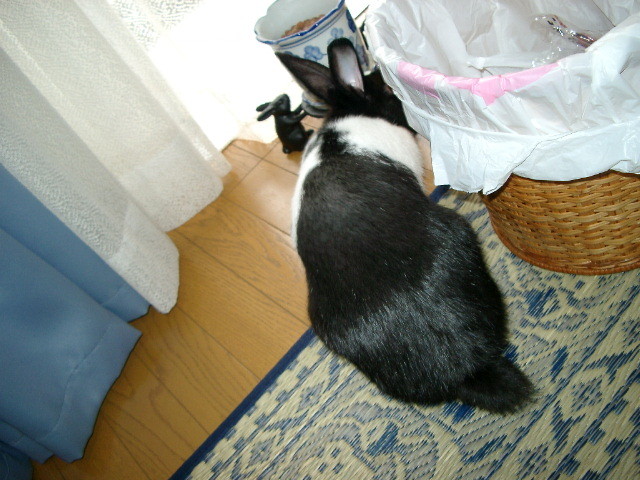 img0009.jpg