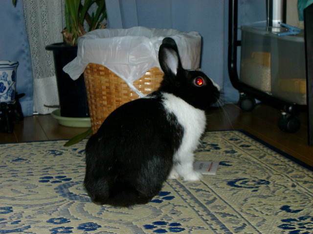 img0012.jpg