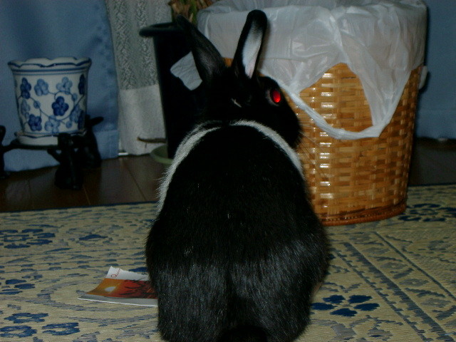 img0013.jpg