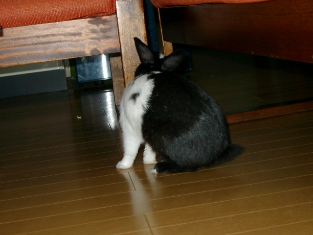 img0014.jpg