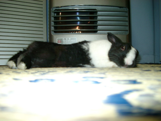 img0000.jpg