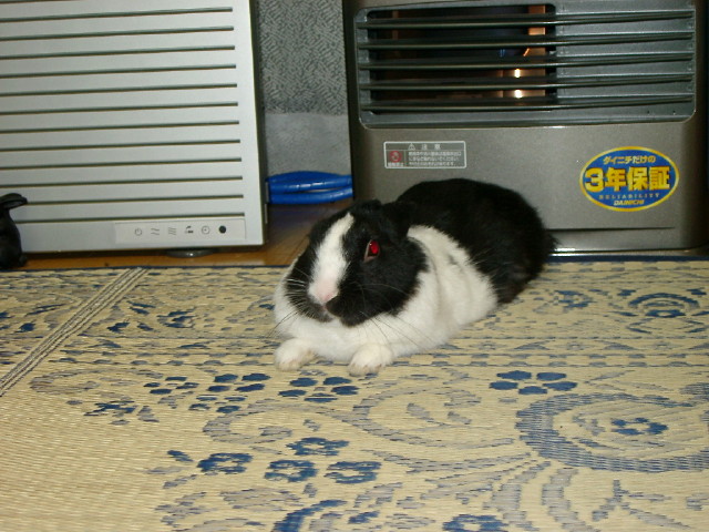 img0002.jpg