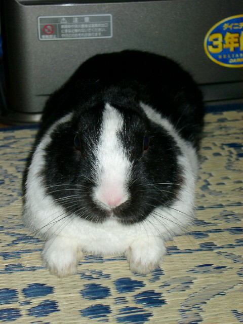 img0003.jpg