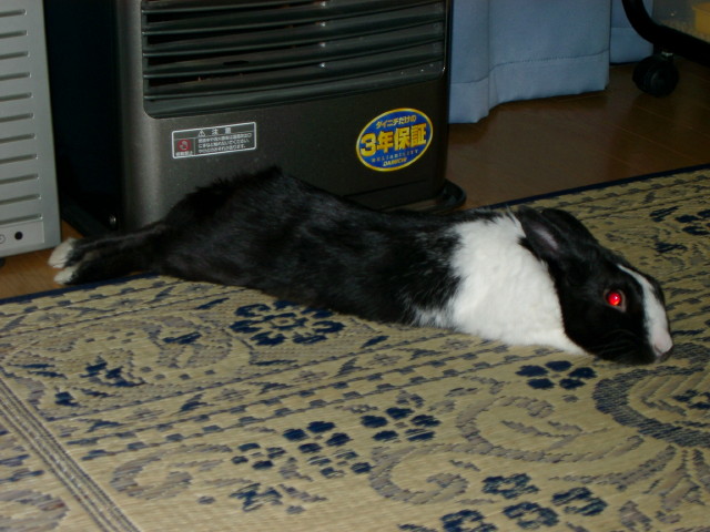 img0004.jpg