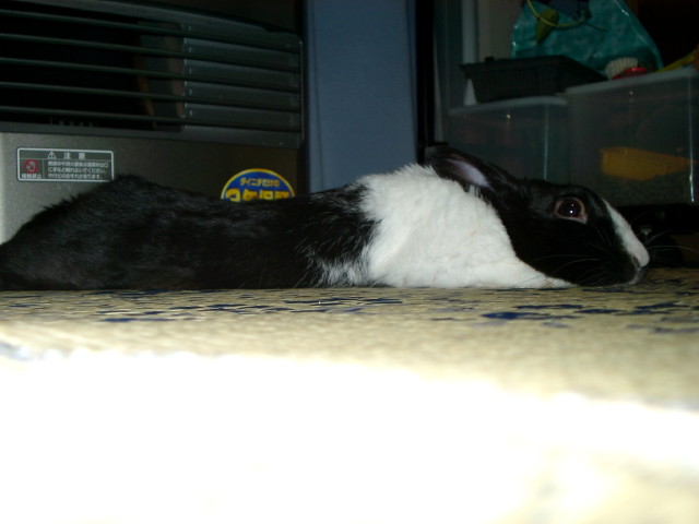 img0005.jpg