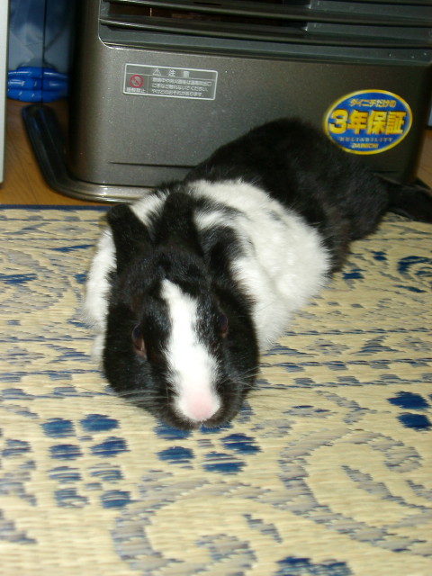 img0007.jpg