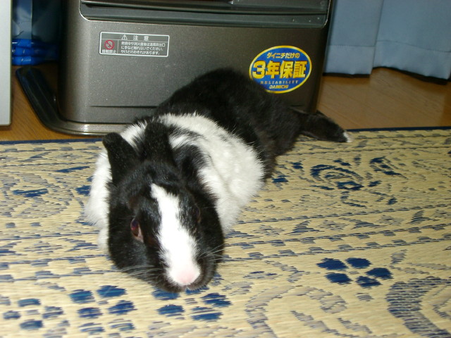 img0008.jpg