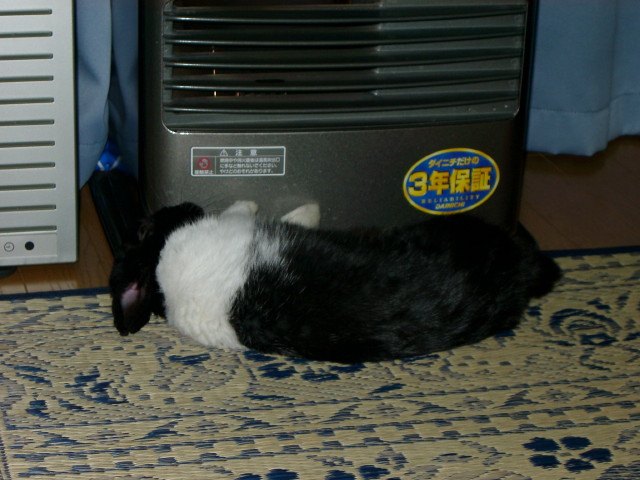 img0009.jpg