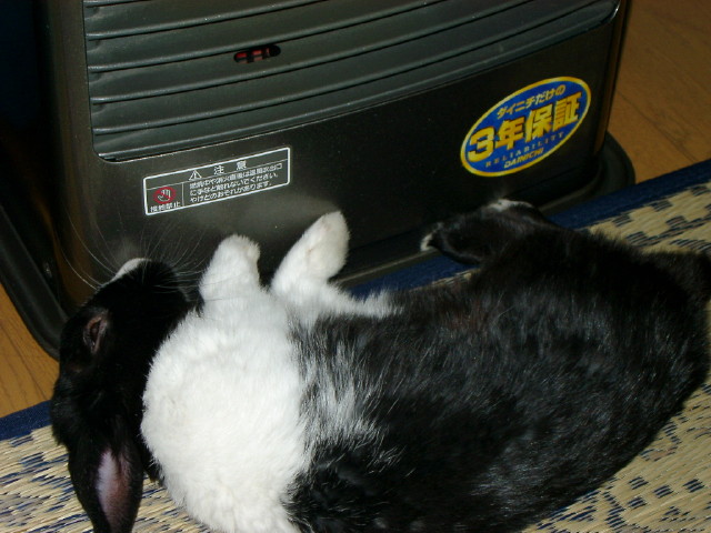 img0010.jpg
