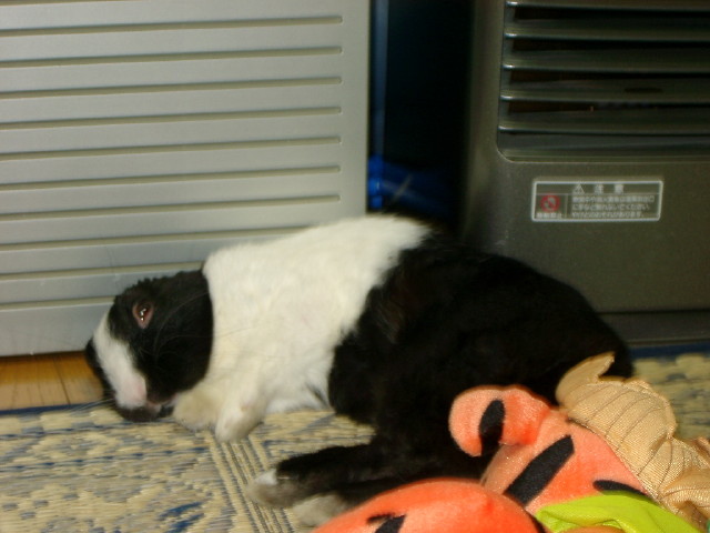 img0011.jpg