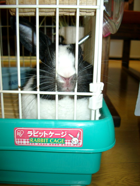 img0012.jpg