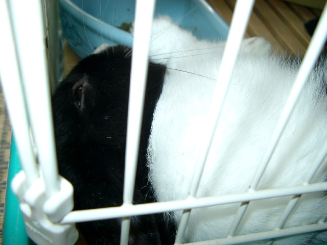 img0013.jpg