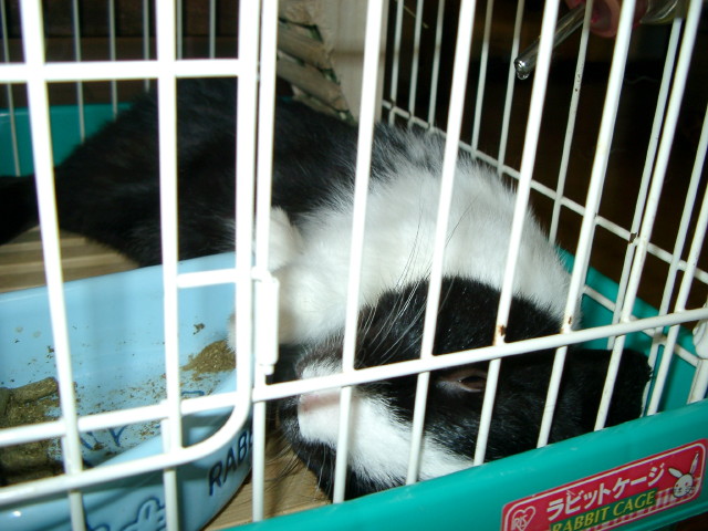 img0014.jpg