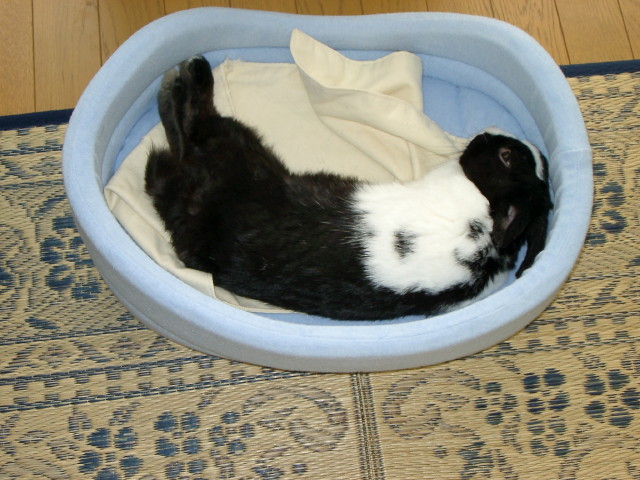 img0015.jpg