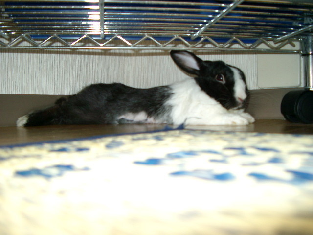 img0016.jpg
