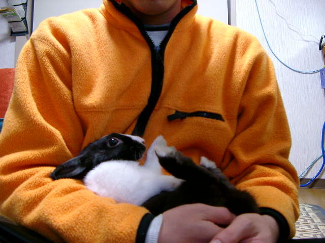 img0017.jpg